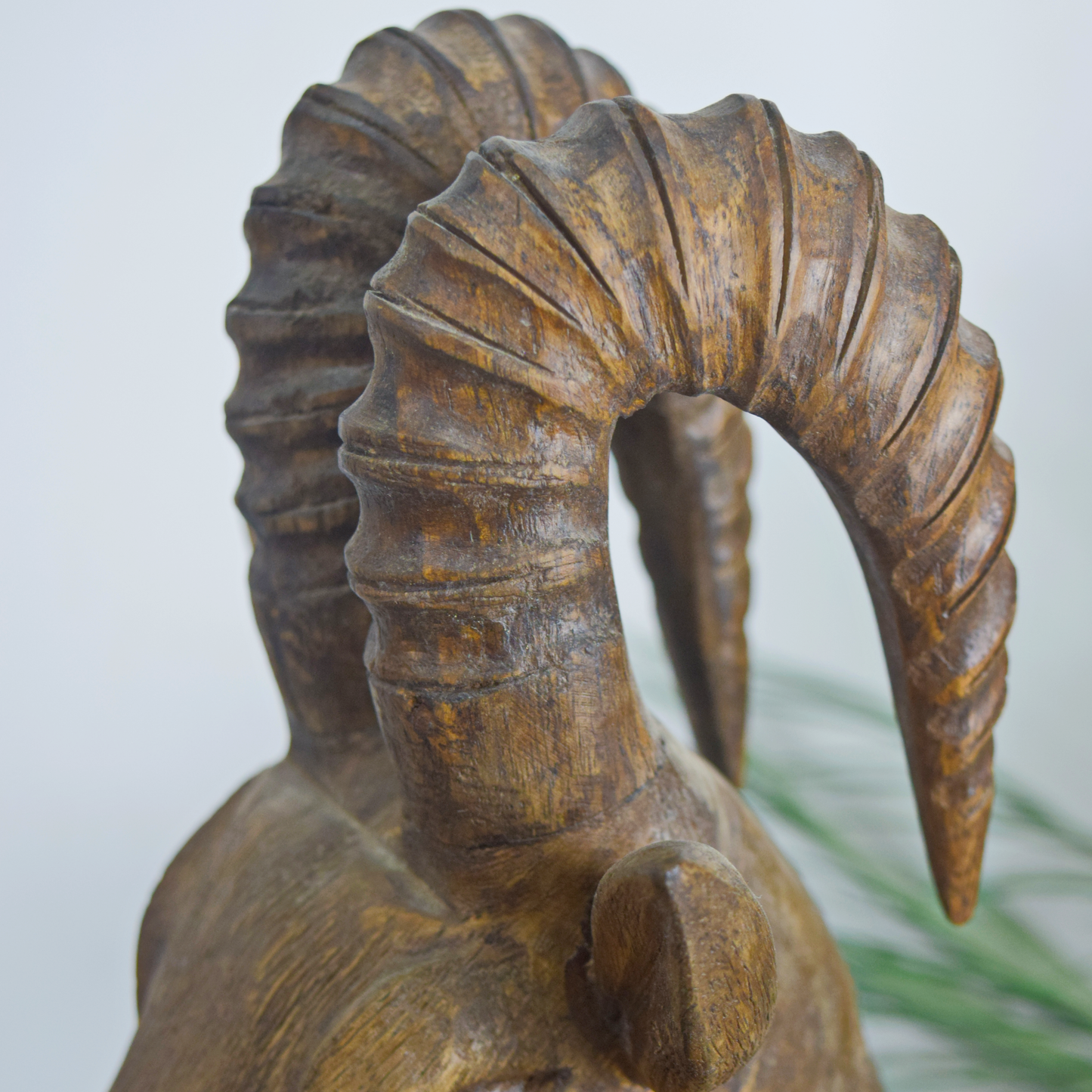Carved Wood Dear Head With Stand
